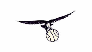 Currently over 10,000 on display for your viewing pleasure. Atlanta Hawks Logo And Symbol Meaning History Png