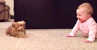 They Put Baby On The Floor But When Puppy Does This Dad Can T Stop Laughing Littlethings Com