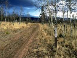 Explore the best trails in minneapolis, minnesota on traillink. U S Forest Service Cracks Down On Illegal Trails In Pike National Forest Summitdaily Com