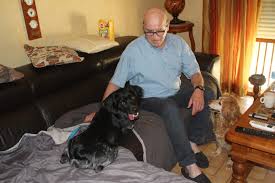 Le chien passe la semaine à l'ecole (lundi matin 8h30 au vendredi 13h30) où il est pris en charge par un éducateur spécialisé. Saint Nazaire Des Familles D Accueil Pour Chiens Chats L Echo De La Presqu Ile