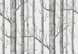 Delicate star print to take you. Woods Wallpaper By Cole Son Is A Trend Gone Classic