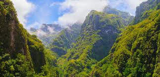 This post originally ran february 10th, 2014, but we wanted to bring it back to get your cheeks all rosy for spring! Let The Relaxing Atmosphere And Natural Beauty Of Madeira Captivate You Riu Com Blog