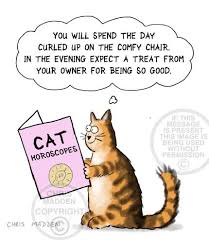 Cats have always been entertaining animals. Cat Horoscopes Cartoon Cat Cat Comics Funny Cats