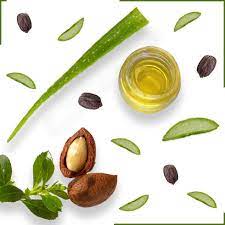 Treatments for hair loss include medications and surgery. Effective Home Remedies For Hair Fall Hair Fall Remedy Tips Nykaa S Beauty Book