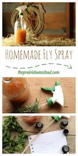 homemade fly spray recipe the prairie