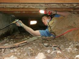 The bug master pest control technicians in waco conduct a broad spectrum of services including wildlife removal and rodent extermination in addition to insects. Ipest Pest Control Termite Treatment Of A Pier And Beam House In Waco Tx Waco Pest Control Waco Exterminator Termite Control Ipest Solutions