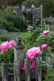 Le Temps Qui Passe Dans Le Jardin D Eugenie Tuin Tuin Ideeen Tuinieren