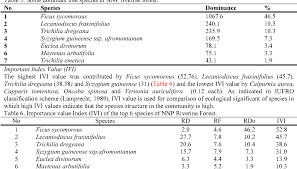 Image result for Lecaniodiscus fraxinifolius