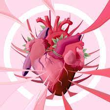 heart beat anatomy art animation design motion graphics gif