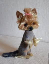 Pin On Yorkshire Terrier