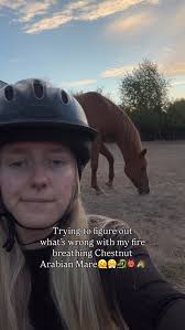 Ashley🦙 hung onto life to make sure Maya🐴 wouldn't be alone💔😭After we  adopted Claire from Sound Equine Options, I think Maya knew she was  supposed to replace the llama/alpaca, so she wouldn't