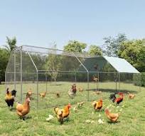 Las mejores ofertas en Chicken Run Patio suministros para ...