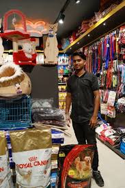 Shopistores has collected the most successful shopify pet stores for you. Best Pet Shop Near Me Rmv Pet Zone Pet Discounts Pedigree Royal Canin Drools