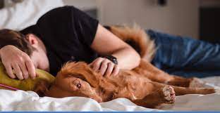 The holiday is also observed in many other countries. Hug Your Dog On National Cuddle Up Day Infrared Cameras Inc