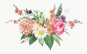 Blooming Vintage Flowers Transparent Png Free Image By Rawpixel Com Flower Illustration Vintage Flowers Vintage Floral Backgrounds