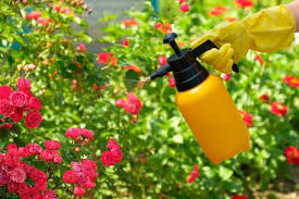 Maybe you would like to learn more about one of these? 10 Genuis Borax Used In The Garden That Will Surprise You Lineup Mag