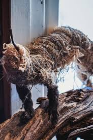 Tillfälle att köpa en charmig och unik uppstoppad räv. Fanns Det Uppstoppade Djur I Ditt Klassrum De Kom Med Stor Sannolikhet Fran Ateljen Dar Sakari Hagg Vaxte Upp Med Kemikalielukt Och Djurkadaver Egenland Svenska Yle Fi