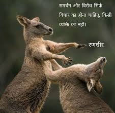 Randhir Zala Australia Animals Eastern Grey Kangaroo Animals