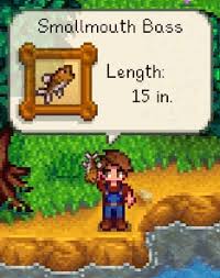 Ultimate Guide On Where And When To Catch Any Type Of Fish In Stardew Valley  - Keengamer
