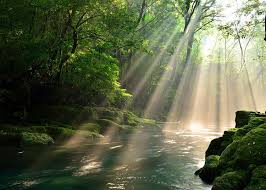 Islam akui perlu lindungi alam sekitar harian metro. Alam Semula Jadi Dan Pemandangan Live Japan Jepun Travel Dan Pelancongan Dan Panduan Pengalaman