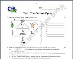 The Tangstar Science Shop On Teachersnotebook Com Carbon Cycle Photosynthesis Worksheet High School Science Class