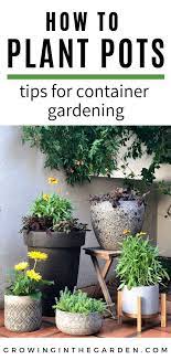 How To Plant Pots Tips For Container Gardening Growing In The Garden Patio Container Gardening Container Gardening Planting Flowers