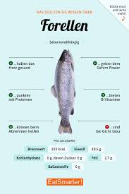 Forellen Forelle Gesunde Lebensmittel Liste Ernahrung