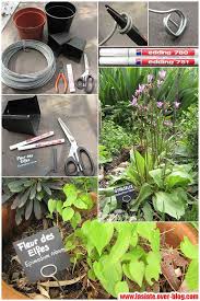 Des Etiquettes D Identification De Plante Avec Du Materiel De Recup Etiquette Jardin Accessoire Jardin Deco Jardin