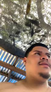 Respeto y trayectoria en la cultura del gallo