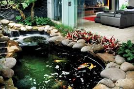 Pin Di Kolam Ikan