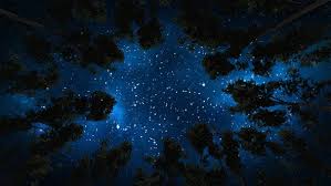 Maybe you would like to learn more about one of these? Beautiful Stars Sky Space Astrophotography And The Trees By Se5d Videohive
