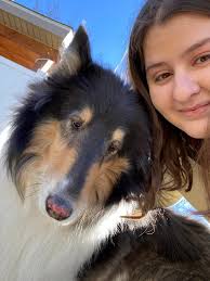 Hi everyone! I have absolutely fallen in love with dog sitting these past  few years and would love to dog sit/walk your fur baby 🥰 I have experience  with puppies all the