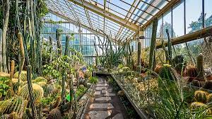 Jej obecny kształt związany jest z przebudową ukończoną 30 września 1992 roku. Posener Palmenhaus Poznan Touristenattraktionen Tropter Com