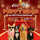 SPCA Thrift Store Holiday Party event image