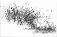 It is seldom the focal point of a landscape, but if not rendered correctly, can negatively impact the rest of a simple pencil stroke. How Draw Grass Pencil Landscape Pencil Drawings Realistic Drawings Color Pencil Drawing