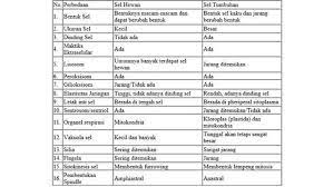 Maybe you would like to learn more about one of these? Perbedaan Sel Hewan Dan Tumbuhan Tabel Dan Klasifikasinya