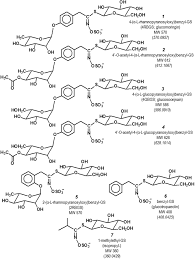 The Diversity Of Chemoprotective Glucosinolates In