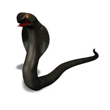 Free fire cobra apk is a live shooter game for mobile phones that is bringing fever to the gaming community for its amazing gameplay and realistic graphics. Black And White Cobra