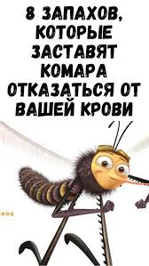 как очистить организм от шлаков и токсинов народными средствами Sovety I Recepty V 2020 G Sovety Zhiznennye Sovety Zhiznennye Navyki