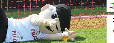 Gent kan morgen met vertrouwen de match tegen as roma aanvatten. Filou Trakteert De Fans Tegen Aa Gent