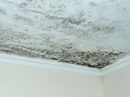 How to remove moisture from the roof of the house? We help you