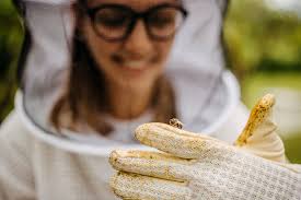 Learn the basics of beekeeping with our Beekeeping for Beginners class!  You'll learn all the information to safely management your bees, products  to use, how to care for your hive and more.