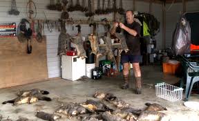 Many san diego pest control companies specialize in residential termite treatment. Behind New Zealand S Wild Plan To Purge All Pests Scientific American