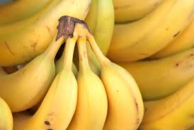 Save save these bananas are about 2.5 cm in diameter and 10 cm in length (shorter and fatter than the common banana) ( 1 5 ). What Is The Difference Between Sugar Bananas Common Bananas Are They Low Fodmap A Little Bit Yummy