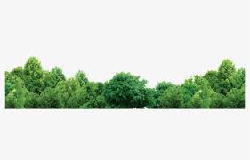 Tree Forest Trees Free Hd Image Ps Trees Forest Png Free Transparent Clipart Clipartkey Jungle euclidean tropical rainforest, cartoon forest, forest, cartoon character, leaf png. tree forest trees free hd image ps