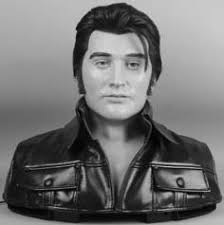 Wowwee Alive Elvis User Manual
