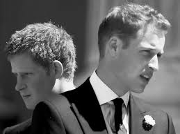 Royal Family Cold War: Will Harry and William Make Up?