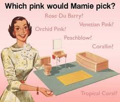 Image result for Pink 1964 Montgomery Ward