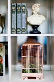 What is the best bird cage? Using Bird Cages For Decor 66 Beautiful Ideas Digsdigs