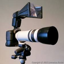 Holds the fresnel lens in place with no sagging or flopping. Better Beamer Flash Extender Photography Wildlife The Rspb Community